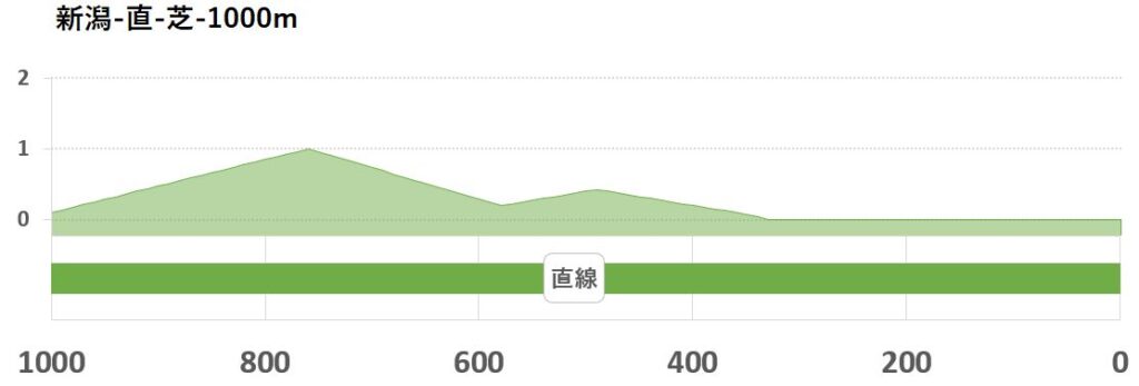 競馬予想サイト馬から小判
新潟直芝1000形状